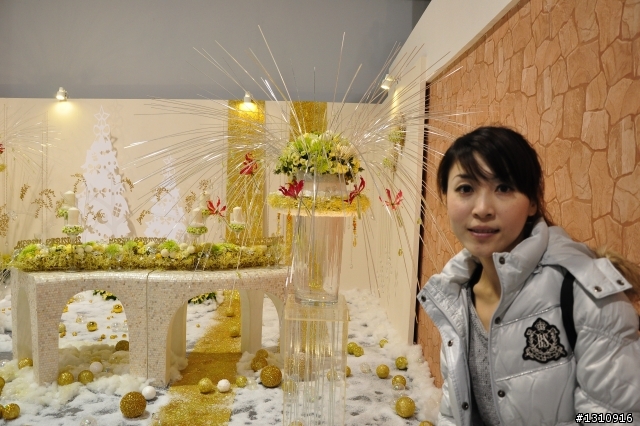 2010臺北國際花卉博覽會 D90超新手..圖多請慢慢看.花博蓋樓囉
