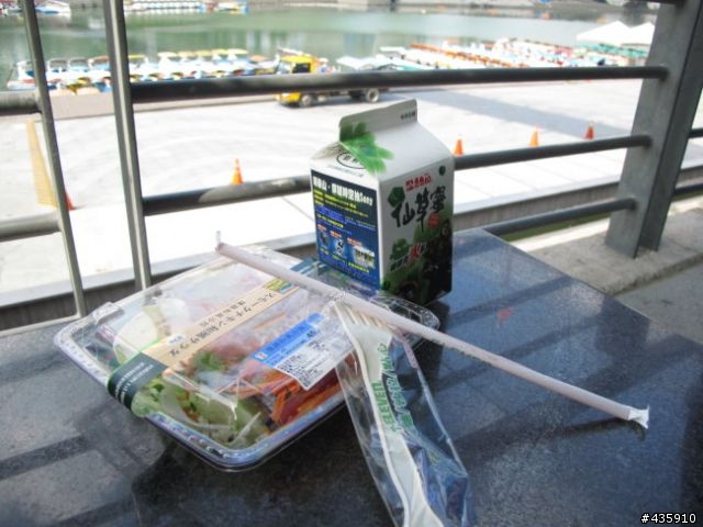 小女子單人之國慶半島鐵盒號武嶺"破練"行-終於大完結