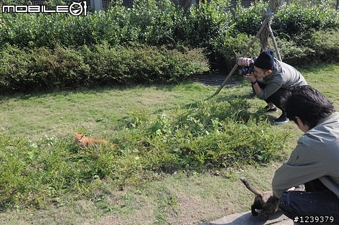 四個臭男人與CAMRY的侯硐九份一日之旅