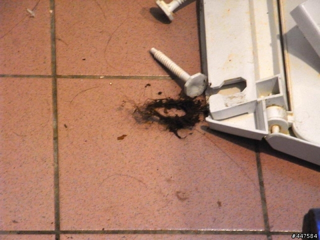 今天什麼日子,衰事連環砲(補上日本妹美腿照及正面搞笑照+其他圖片)