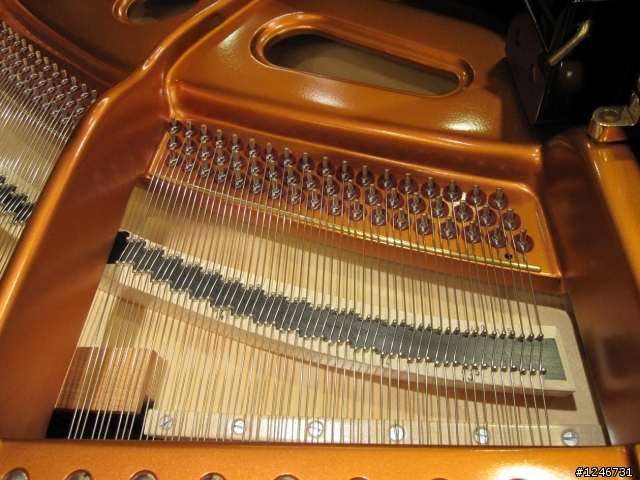 Bosendorfer 280(貝森朵夫) in 涴沙