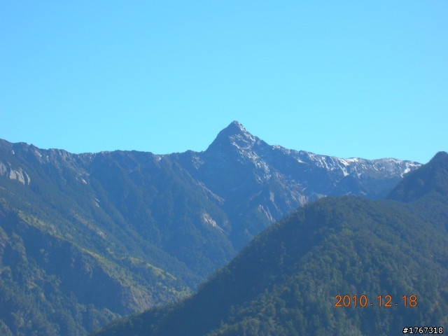 踏雪尋梅~之東埔泡湯行(12/19新增烏松崙梅景!)