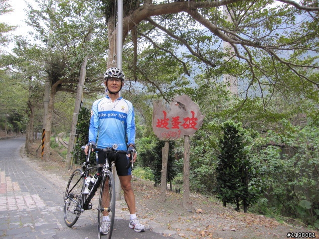 踏雪尋梅