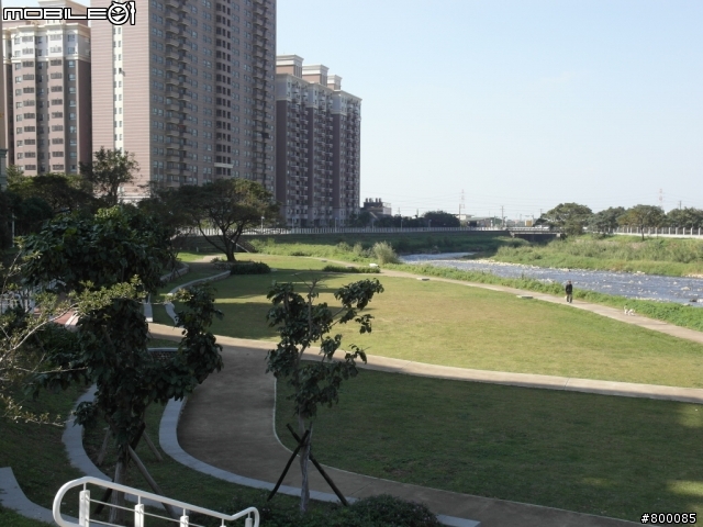 【大俠分享】:BIRDY 避震器的極意,油壓革新 !!