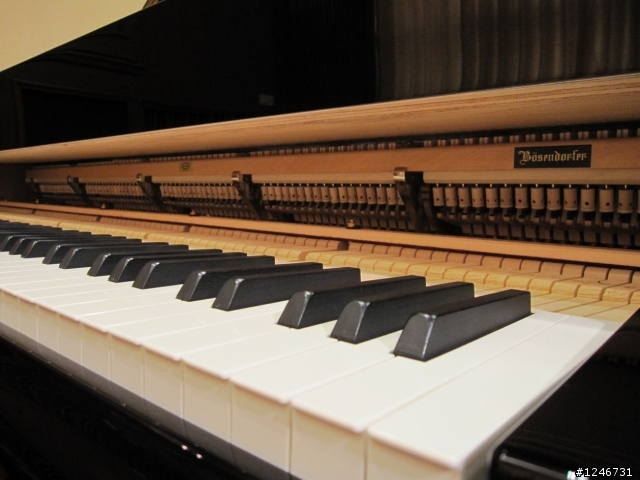 Bosendorfer 280(貝森朵夫) in 涴沙