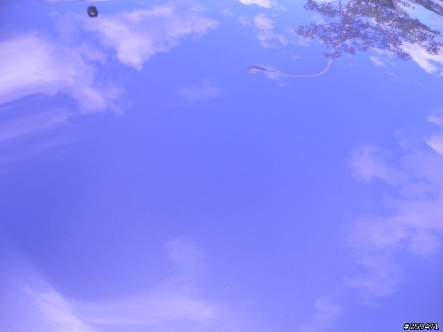 小灰凹2WD豪華型 小小幸福小開箱