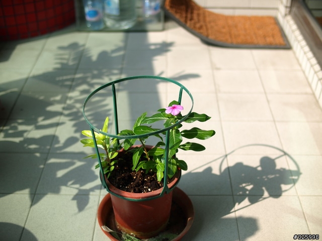 Voigtlander Nokton 25mm F0.95