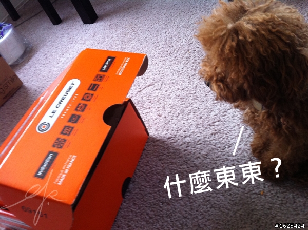 聖誕節,與Le Creuset的第一次接觸。(更新:紅酒燉羊膝)