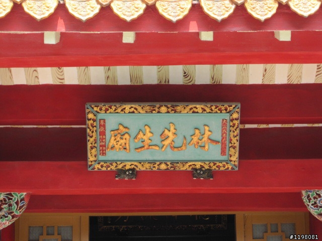 踏雪尋梅