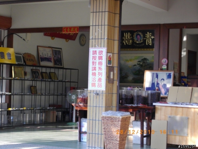 VJR100單騎台南楠西梅嶺懶人賞梅