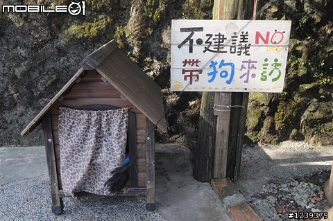 四個臭男人與CAMRY的侯硐九份一日之旅