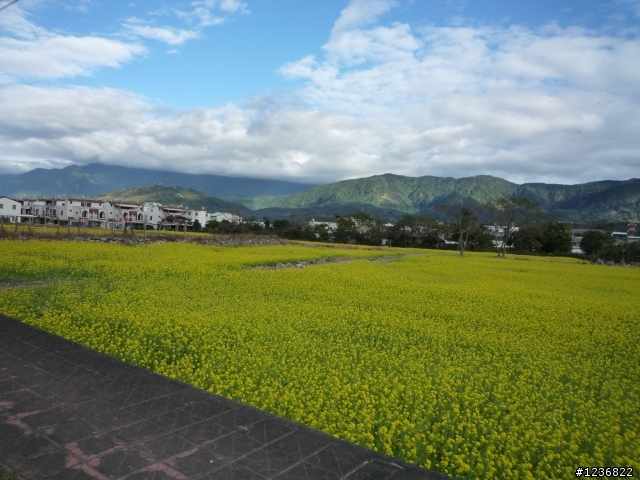 單車遊花東也可以一日來回(首發請指教)