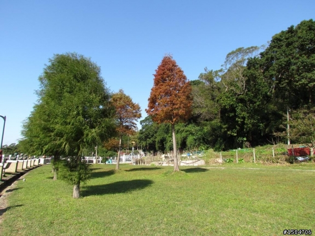 賞楓賞梅-大溪慈湖角板山自行車快樂遊