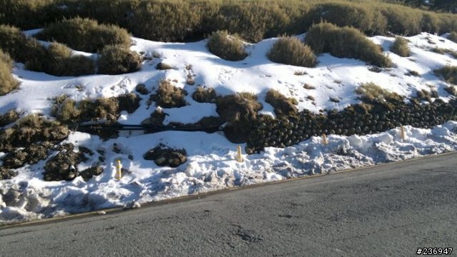 1/23 挑戰全程短袖上合歡山武嶺賞殘雪成功