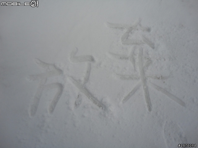 1/18~20 大學生的熱血 武嶺