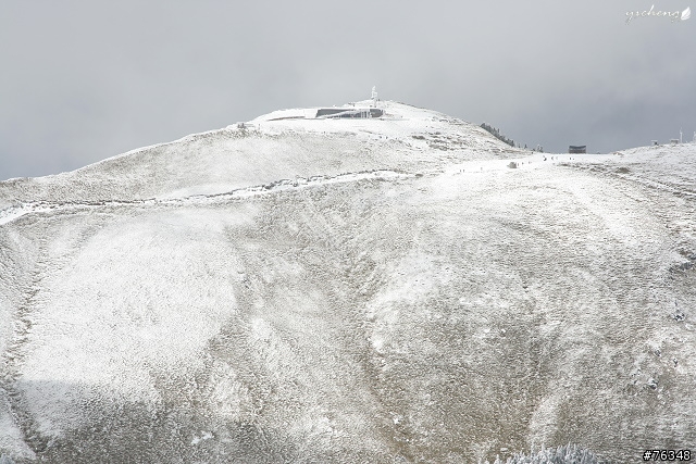 雪花飄飄的冰晶世界‧冬戀合歡