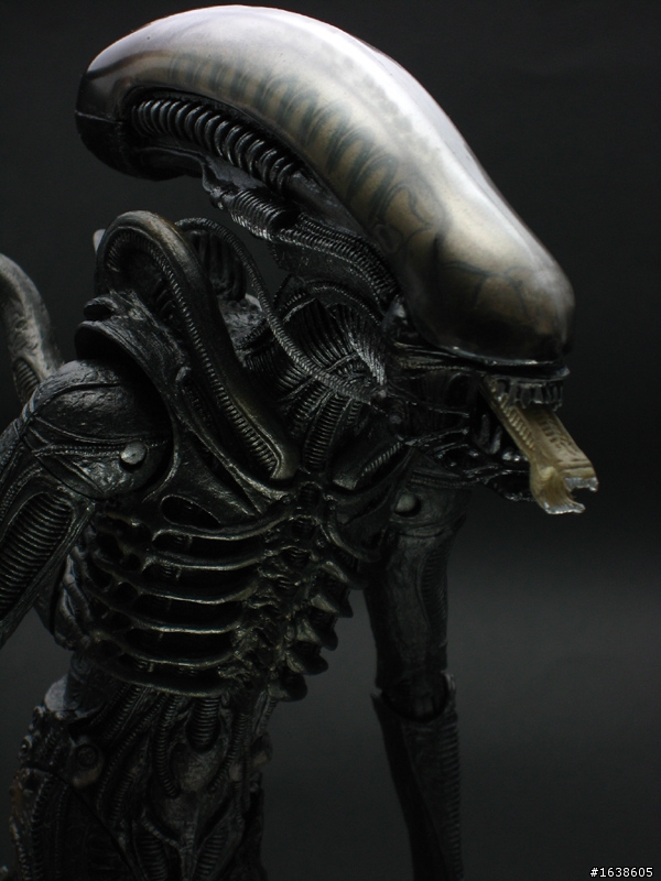 NECA Alien & Predator 2 pack (經典異形篇)