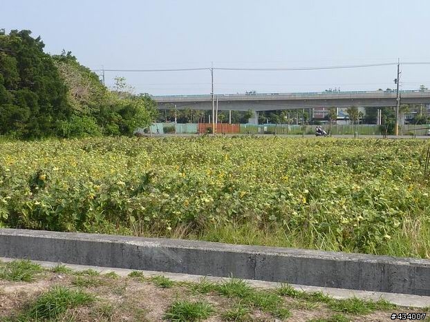 玉山主峰一日單攻,三陽風雲重返榮耀計畫(全文更新完畢1/11)
