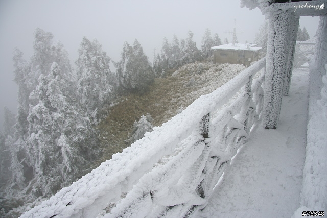 雪花飄飄的冰晶世界‧冬戀合歡