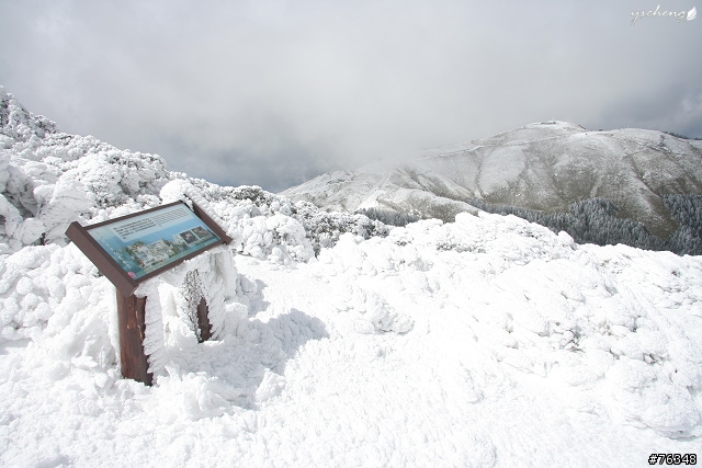 雪花飄飄的冰晶世界‧冬戀合歡