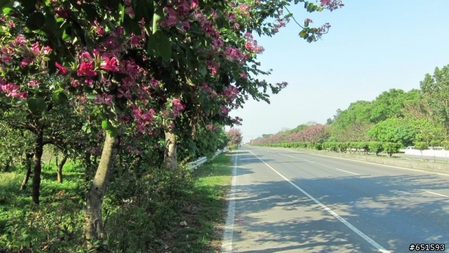 一個人的旅行-單車環島九日遊第九天