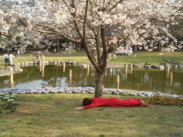 熱血才能圓夢!去日本騎摩托車旅行 - 上篇