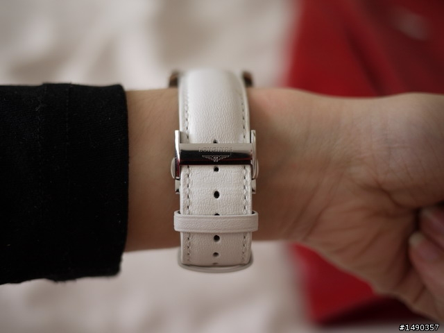 *新玩具.白陶瓷浪琴開箱文分享*圖多慎入