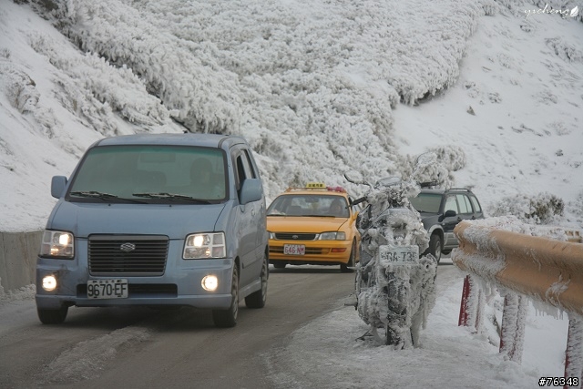 雪花飄飄的冰晶世界‧冬戀合歡