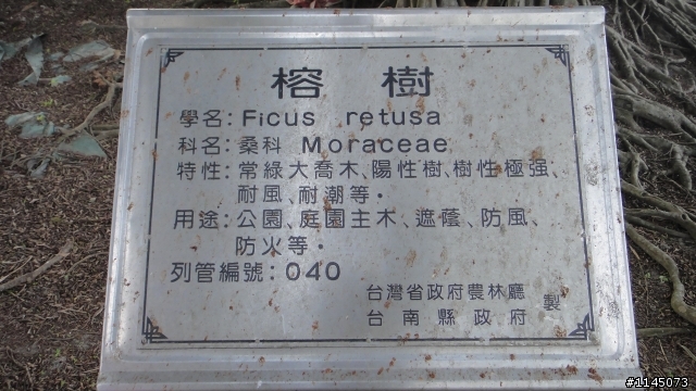 西港鄉﹑麻油香﹑台灣第一香!