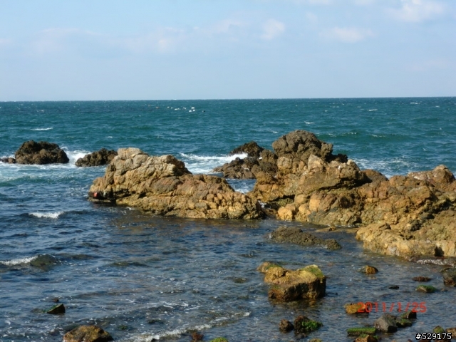 寒冬中的樂事--環日本淡路島二日遊