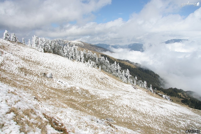 雪花飄飄的冰晶世界‧冬戀合歡