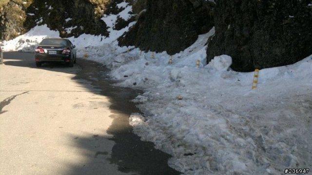 1/23 挑戰全程短袖上合歡山武嶺賞殘雪成功