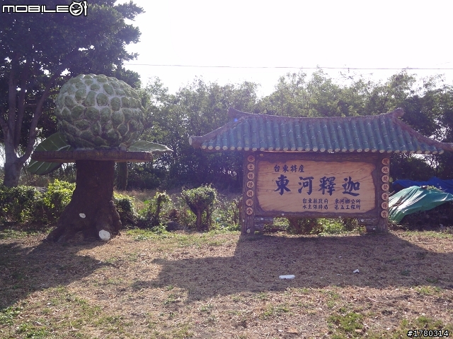 2010.12.25~12.29~五天四夜~環島慶生行~