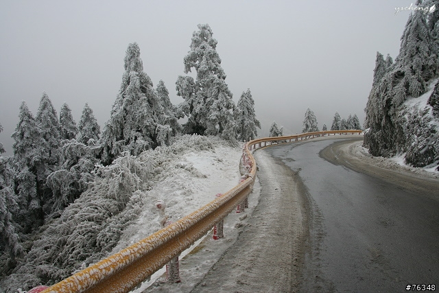 雪花飄飄的冰晶世界‧冬戀合歡