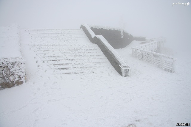 雪花飄飄的冰晶世界‧冬戀合歡