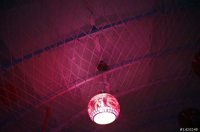 誰比我自虐~零下30度的冰庫用餐體驗