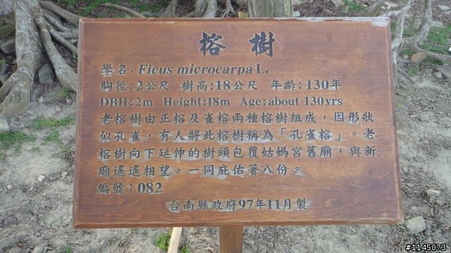 西港鄉﹑麻油香﹑台灣第一香!