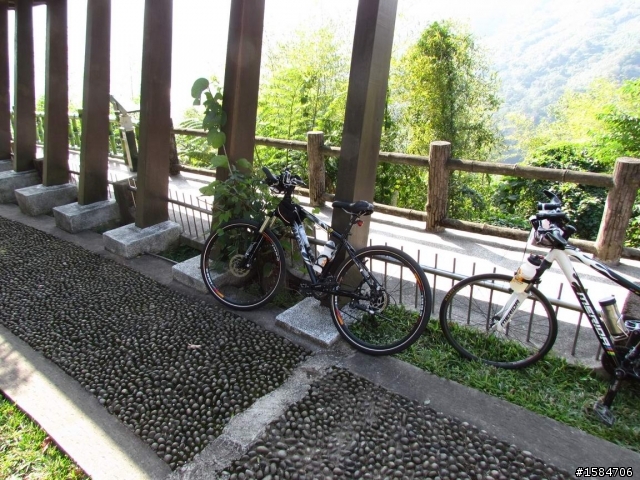 賞楓賞梅-大溪慈湖角板山自行車快樂遊
