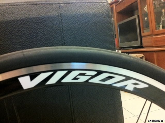 rolf prima vigor 冷門開箱