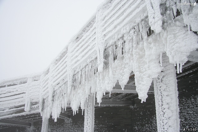 雪花飄飄的冰晶世界‧冬戀合歡