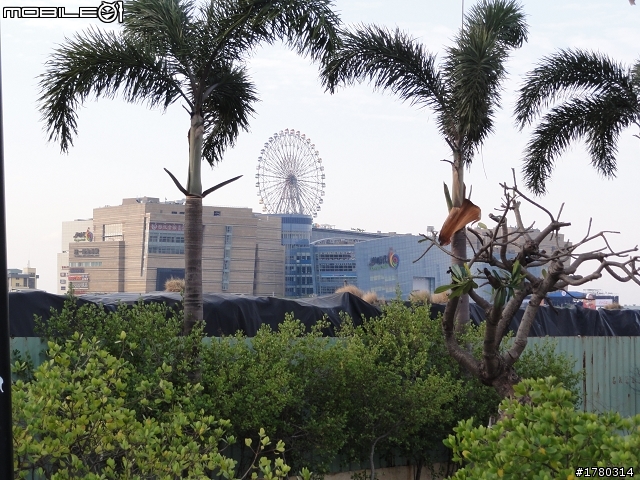 2010.12.25~12.29~五天四夜~環島慶生行~