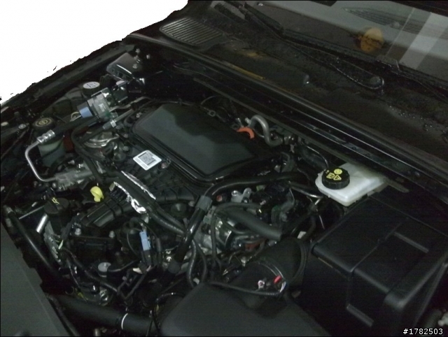 163ps TDCI 預備交車