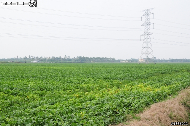 開著Luxgen SUV拾毛豆(並為熱心的農民朋友作播秧機、毛豆採收機開箱文)