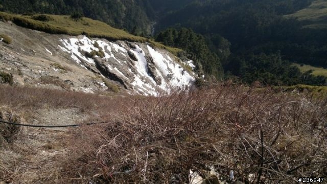 1/23 挑戰全程短袖上合歡山武嶺賞殘雪成功