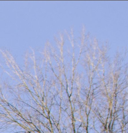 D7000, D300, 與隨身鏡之測試