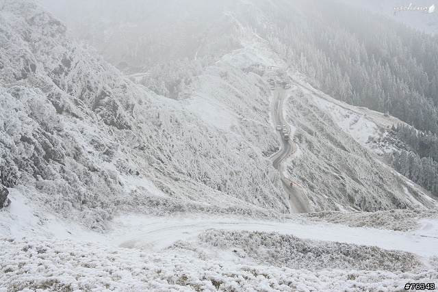 雪花飄飄的冰晶世界‧冬戀合歡