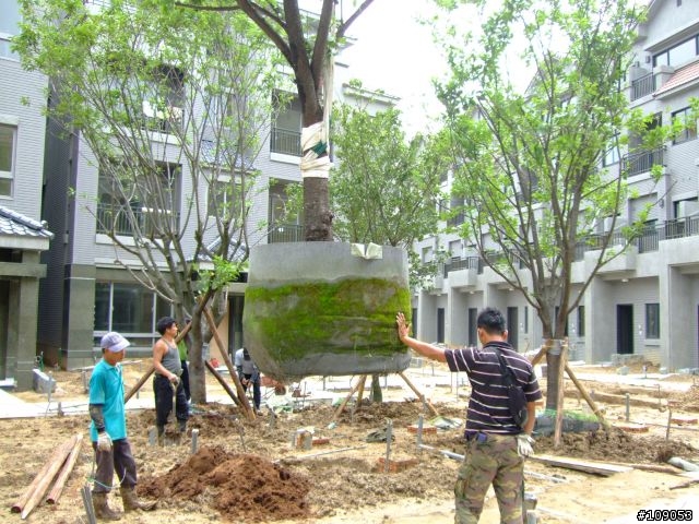 日式豪宅中庭景觀