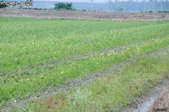開著Luxgen SUV拾毛豆(並為熱心的農民朋友作播秧機、毛豆採收機開箱文)