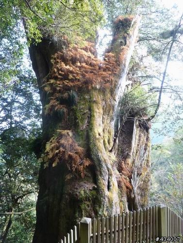 玉山主峰一日單攻,三陽風雲重返榮耀計畫(全文更新完畢1/11)