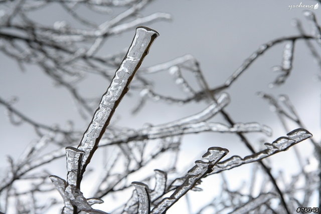雪花飄飄的冰晶世界‧冬戀合歡